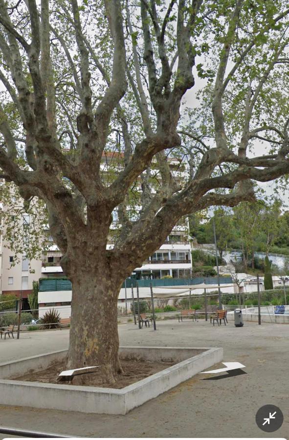 Le Vallombrosa T2 Cannes Exteriér fotografie